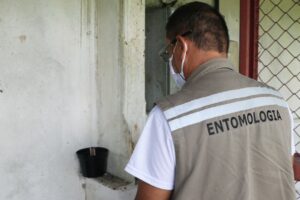 Amazonas integra ação para testar resistência do Aedes aegypti a inseticidas