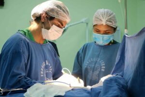 Em três anos, FCecon realizou 12,3 mil consultas e cirurgias para o tratamento do câncer de mama