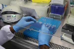 Cenário epidemiológico da Covid-19 no Amazonas é divulgado pela FVS-RCP, nesta terça-feira (05/10)