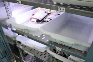 Hemoam convoca doadores de sangue do tipo O de fatores positivo e negativo