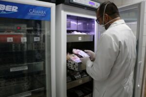 Doação de sangue ajuda a salvar vidas de pacientes com câncer, alerta FCecon