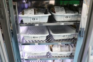 Hemoam registra queda de 50% no estoque de sangue nesta semana