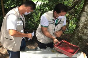 Amazonas apresenta redução de 46% no número de casos de dengue
