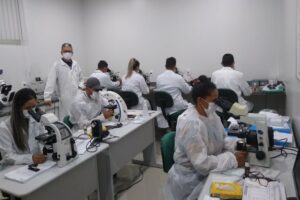 Em Manicoré e Codajás, FVS-RCP realiza treinamento em hemoparasitas para agilizar de diagnóstico de doenças