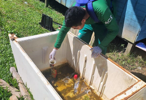 Dengue: Primeiro levantamento aponta que 69% dos municípios do Amazonas apresenta riscos baixo e médio para Aedes aegypti