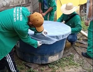 Amazonas atualiza situação das arboviroses nesta quinta-feira