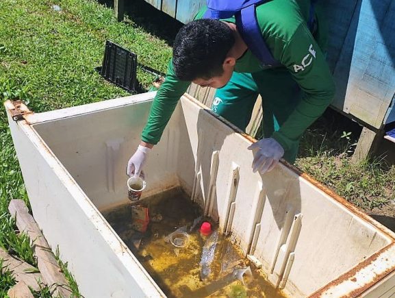Amazonas atualiza situação das arboviroses nesta quinta-feira