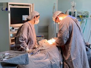 Em quatro meses, Hospital 28 de Agosto realizou mais de 3,7 mil cirurgias de média e alta complexidade