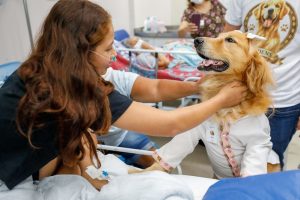 Cães terapeutas levam alegria e contribuem para a recuperação de pacientes no Complexo Hospitalar Sul