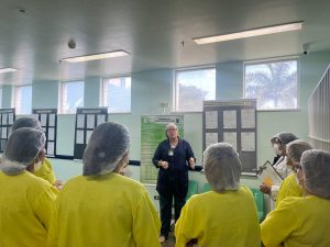 Pacientes idosos são os principais acometidos por quedas em ambientes hospitalares, alerta FCecon