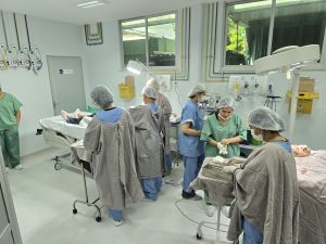 Fundação Hospitalar Alfredo da Matta finaliza mutirão de cirurgias dermatológicas 